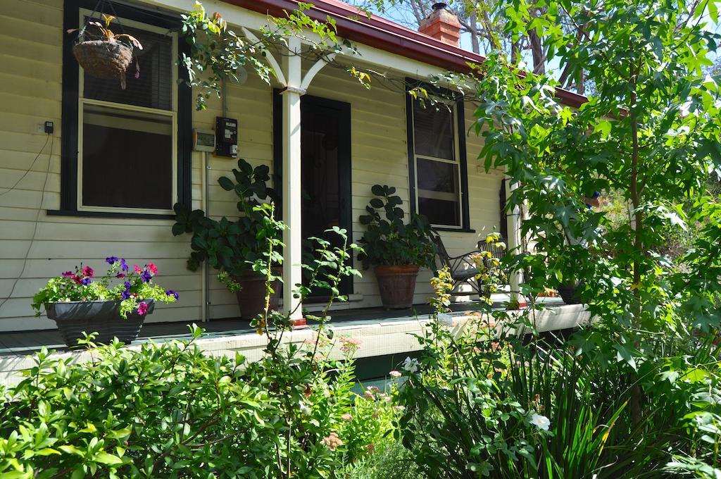 Sinnamons Cottage Maldon Buitenkant foto